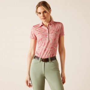 Rose Baroque Horse Ariat Motif Polo | 76RHTSCGV