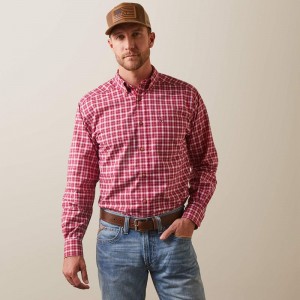 Rose Red Ariat Pro Series Indiana Fitted Shirt | 71GTYCXLP