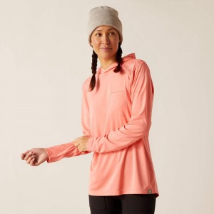 Shell Pink Ariat Rebar Sunblocker Hooded T-Shirt | 18XEJZICQ