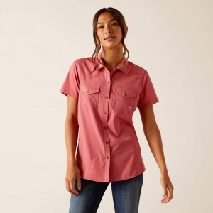 Slate Rose Ariat Western Venttek Shirt | 18WRZUHVK