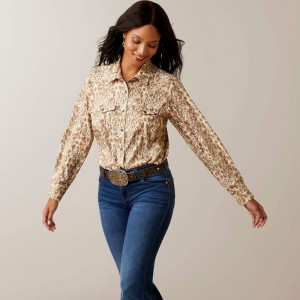 Sophia Leopard Print Ariat Western Venttek Stretch Shirt | 81BQROXYU