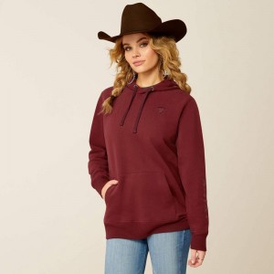 Tawny Port Ariat Logo 2.0 Hoodie | 01WDXGBPH