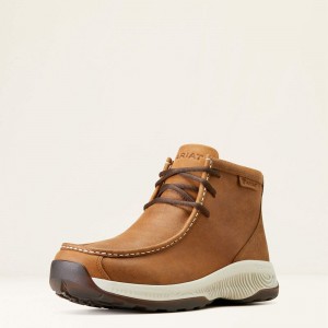 Toasty Tan Ariat Spitfire All Terrain | 49AIHBCDX