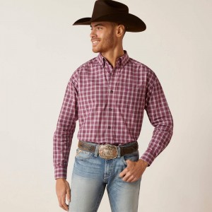 White Ariat Pro Series Shepherd Classic Fit Shirt | 56YSQRDUZ