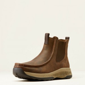 Wiley Tan Ariat Spitfire All Terrain Easy On | 74FJYTCAM