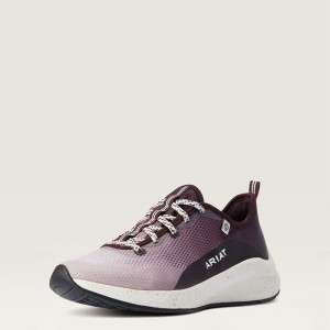 Winetasting Ariat Shiftrunner | 16YLJFSOX