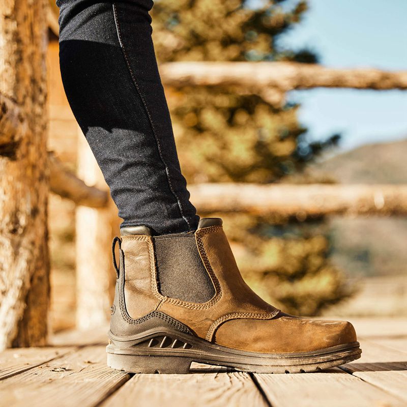 Antique Brown Ariat Barnyard Twin Gore Ii Waterproof Boot | 41OWBDVTE