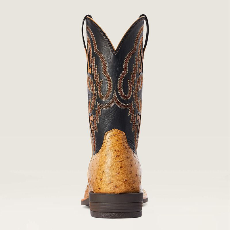 Antique Saddle Fq Ostrich Ariat Dagger Western Boot | 72ZVIKOJB