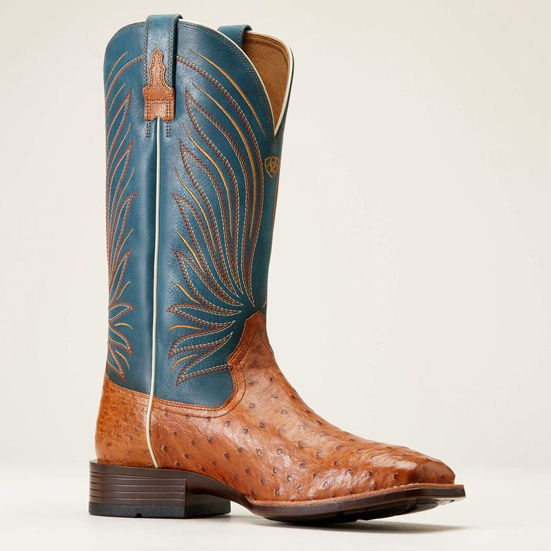 Antique Tan Full Quill Ostrich Ariat Brandin' Ultra Western Boot | 75GLKSXJY