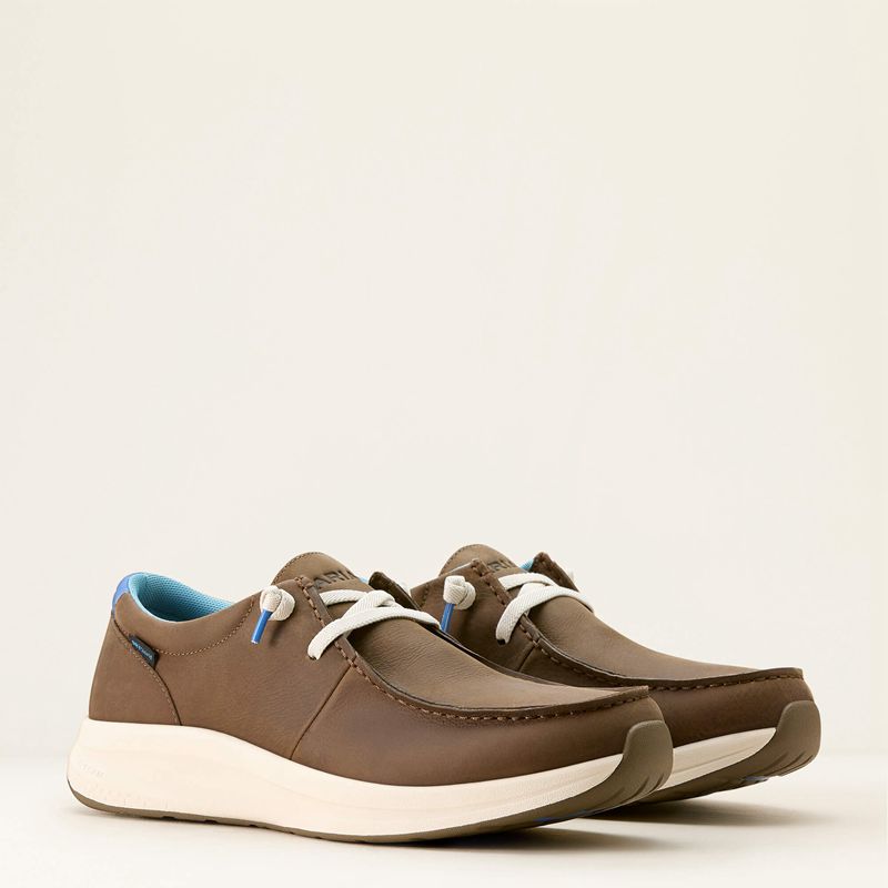 Artisan Tan Ariat Buckeye Waterproof Shoe | 13IJBFNEW