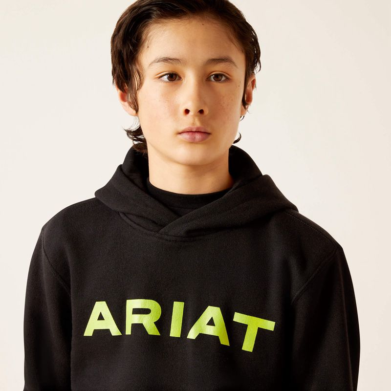 Black Ariat Front Logo Hoodie | 23XNZPQIK