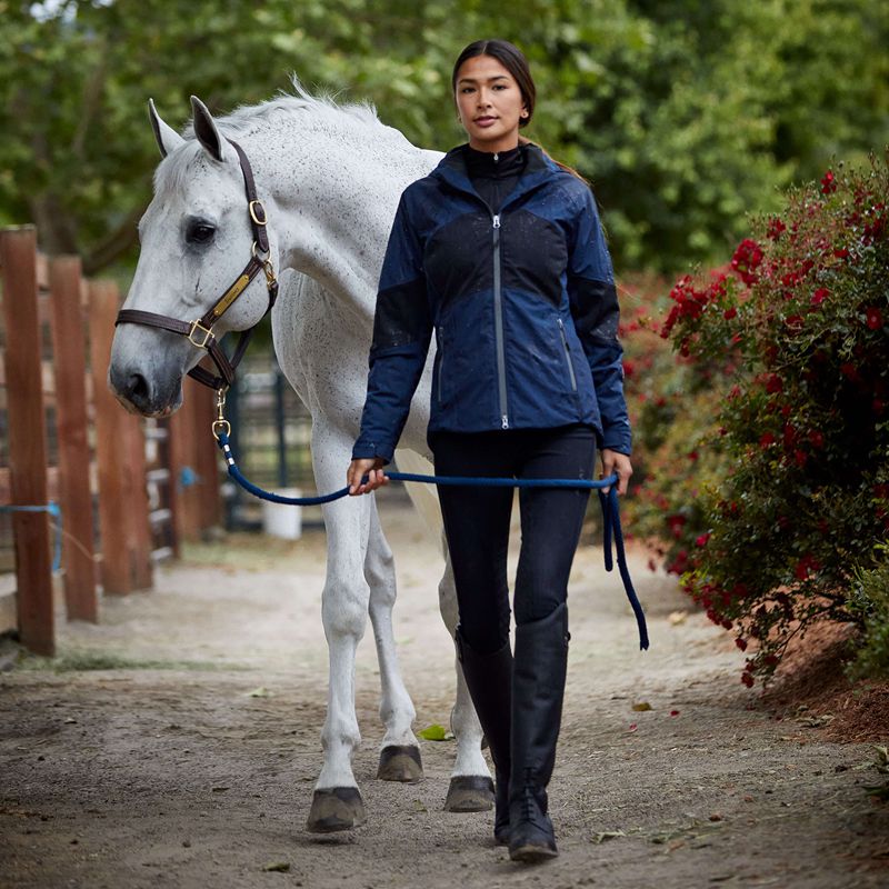 Black Ariat Tri Factor Frost Insulated Full Seat Breech | 85TMNPCYR