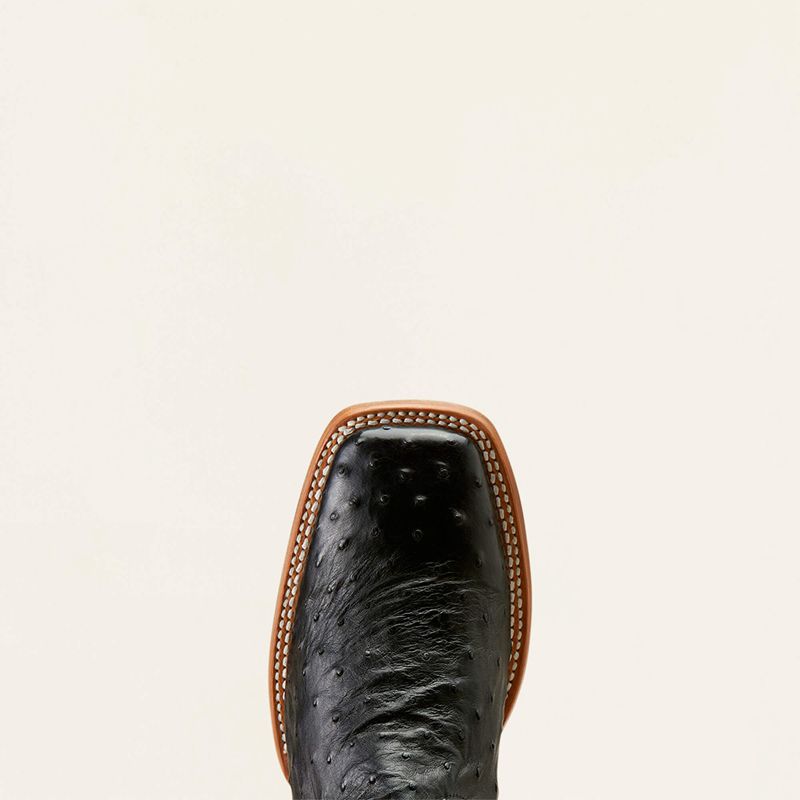 Black Full Quill Ostrich/Ancient Black Ariat Showboat Cowboy Boot | 83SIBYMEC