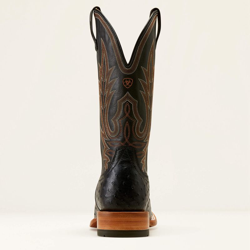 Black Full Quill Ostrich/Ancient Black Ariat Showboat Cowboy Boot | 83SIBYMEC