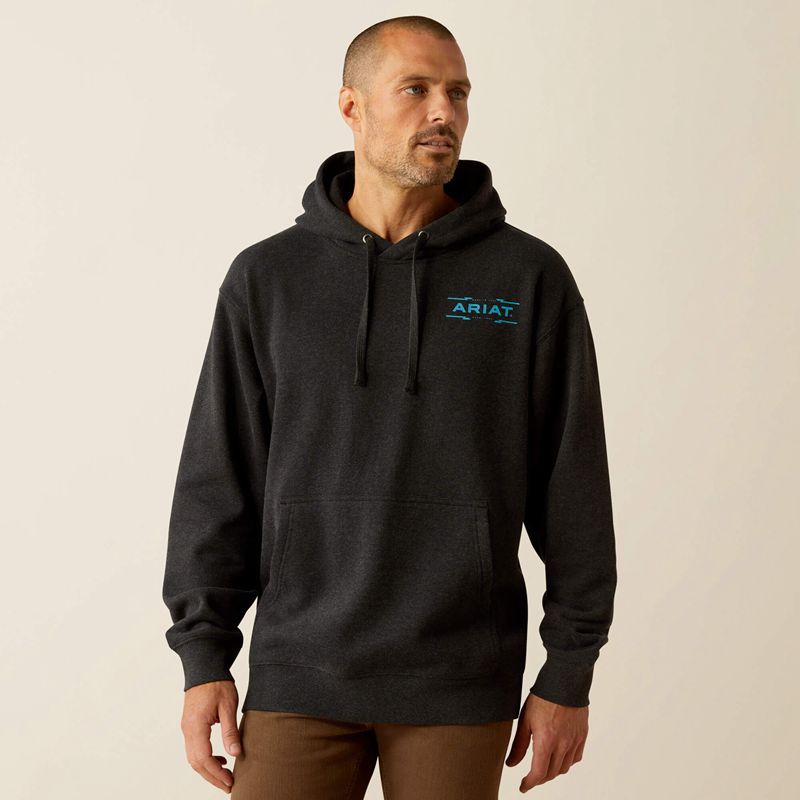 Black Heather Ariat Diamond Canyon Hoodie | 23OJCXIWQ