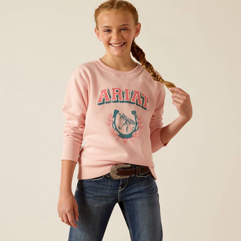 Blushing Rose Ariat College Sweatshirt | 70VHSJOYG