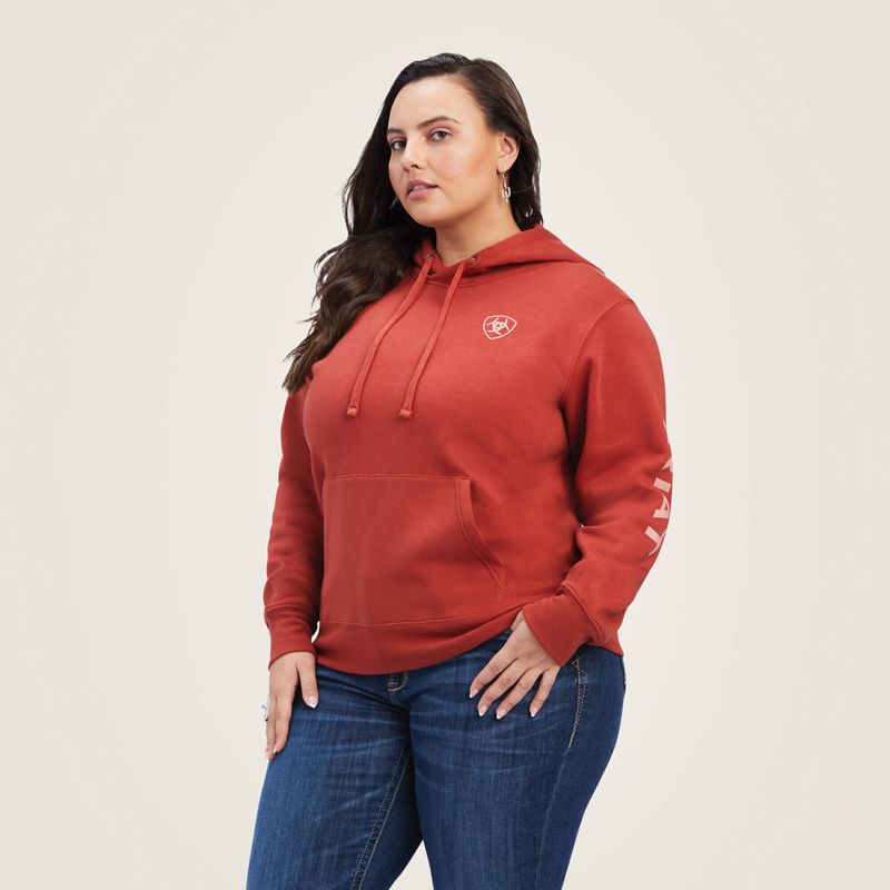 Bossa Nova Ariat Real Classic Arm Logo Hoodie | 29CRTJVWI