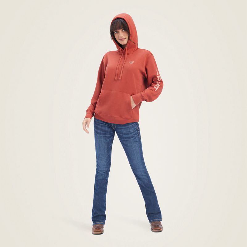 Bossa Nova Ariat Real Classic Arm Logo Hoodie | 29CRTJVWI