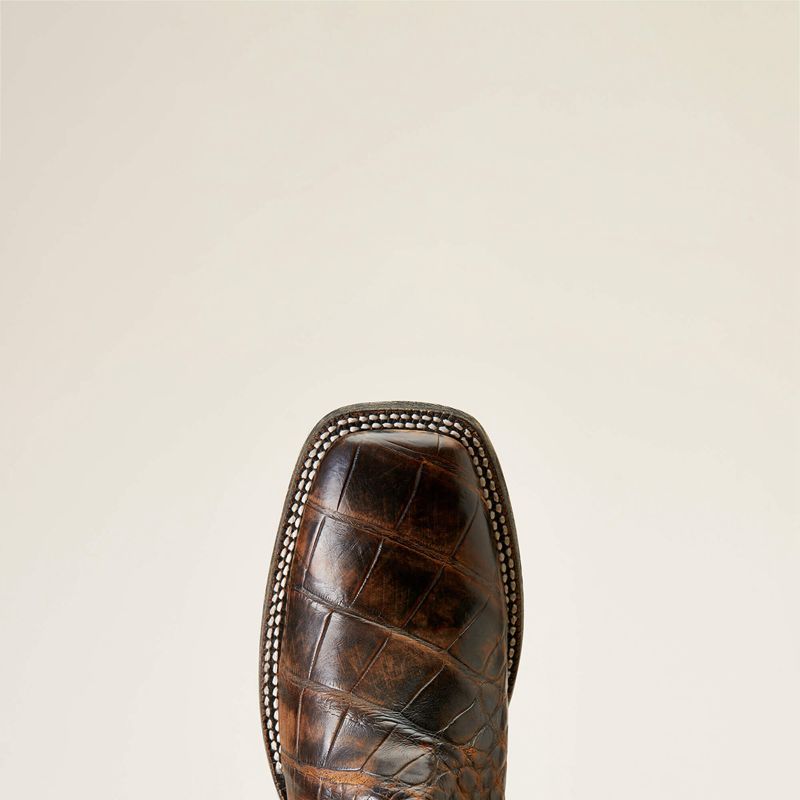 Brown American Alligator Ariat Backwater Western Boot | 09JMNFGYO