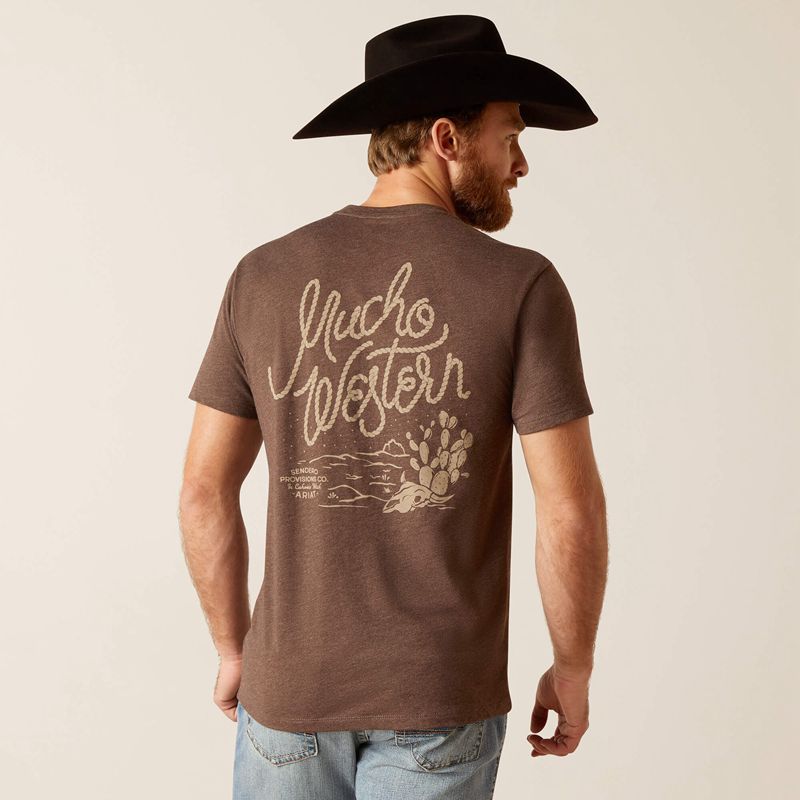 Brown Heather Ariat Sendero Mucho Western T-Shirt | 29QOVGTNF