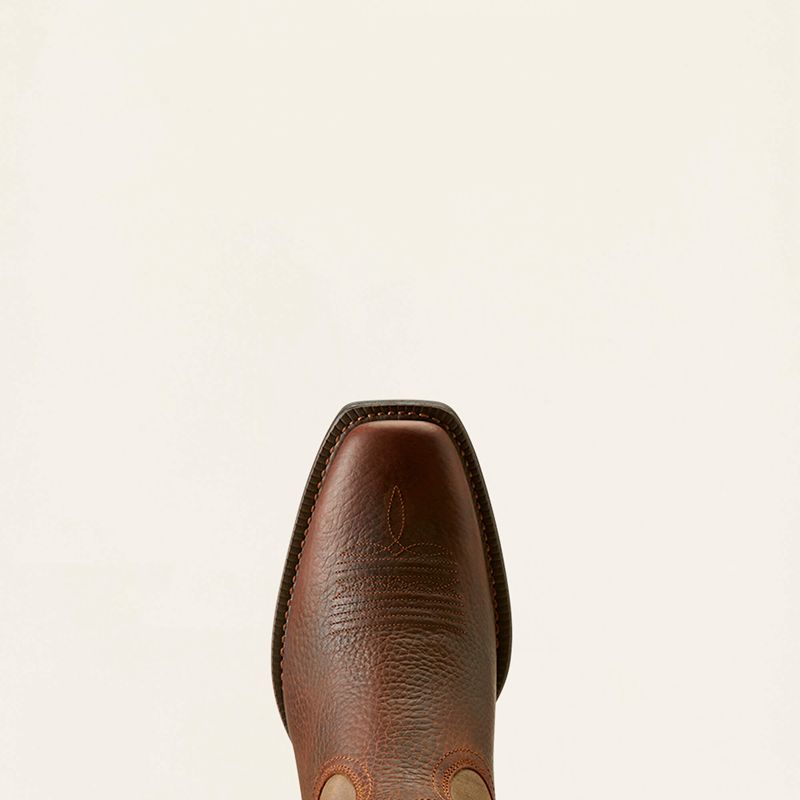 Brown Oiled Rowdy/Brown Bomber Ariat Sport Square Toe Cowboy Boot | 31UDVASPI