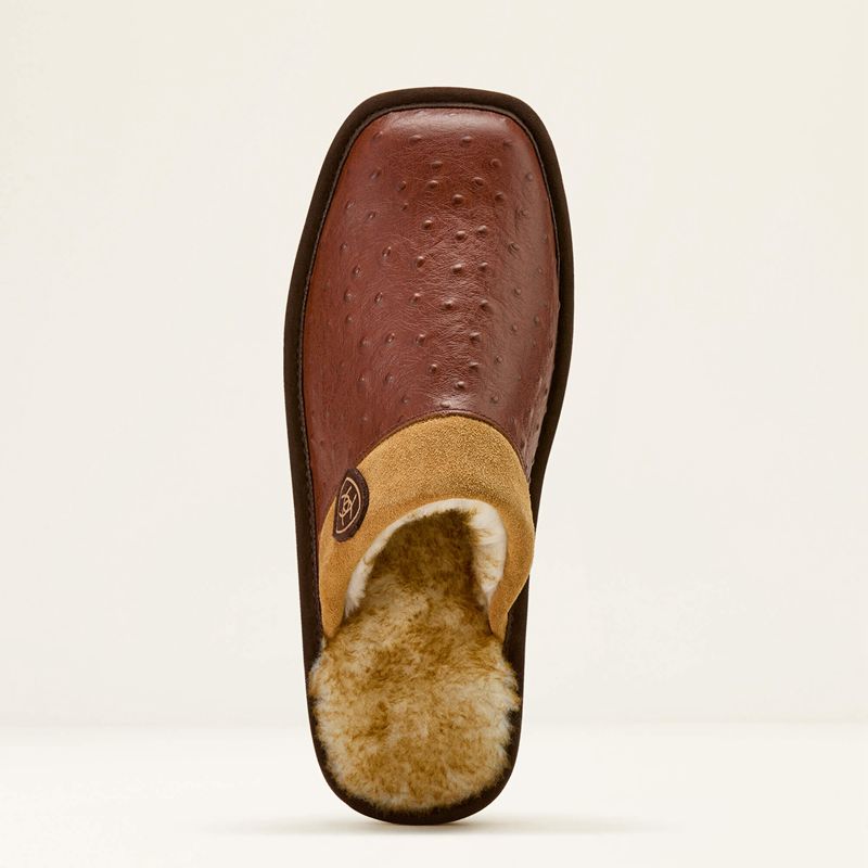 Burgundy/Cordovan Ariat Silversmith Square Toe Exotic Slipper | 73BTLAYIH