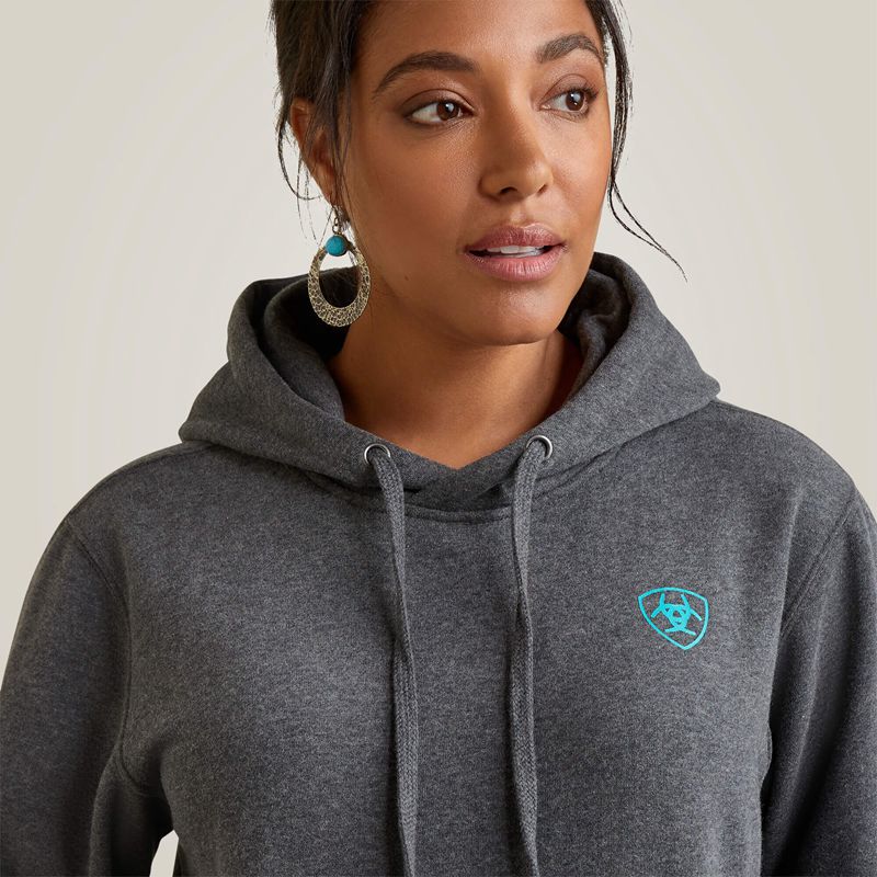 Charcoal Heather Ariat Logo Hoodie | 45QTWALKS