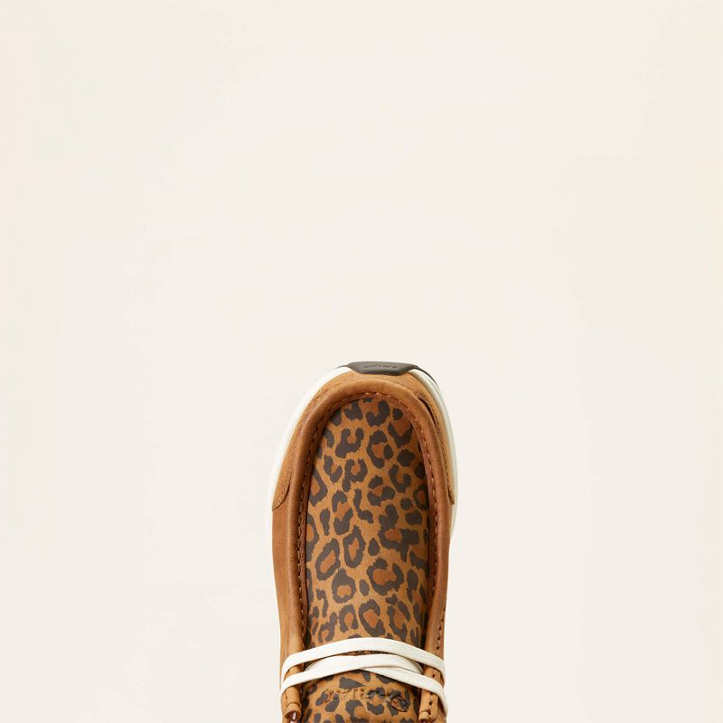 Chasing Cheetah Ariat Spitfire | 24INADTWG