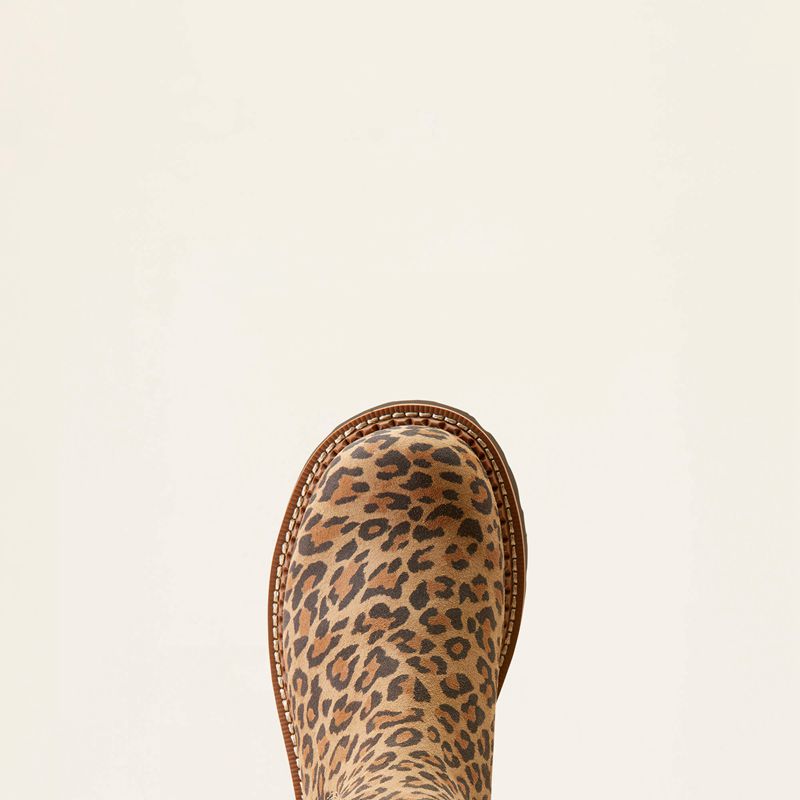 Cheetah/Chocolate Ariat Fatbaby Chelsea Western Boot | 45PCHEWXO