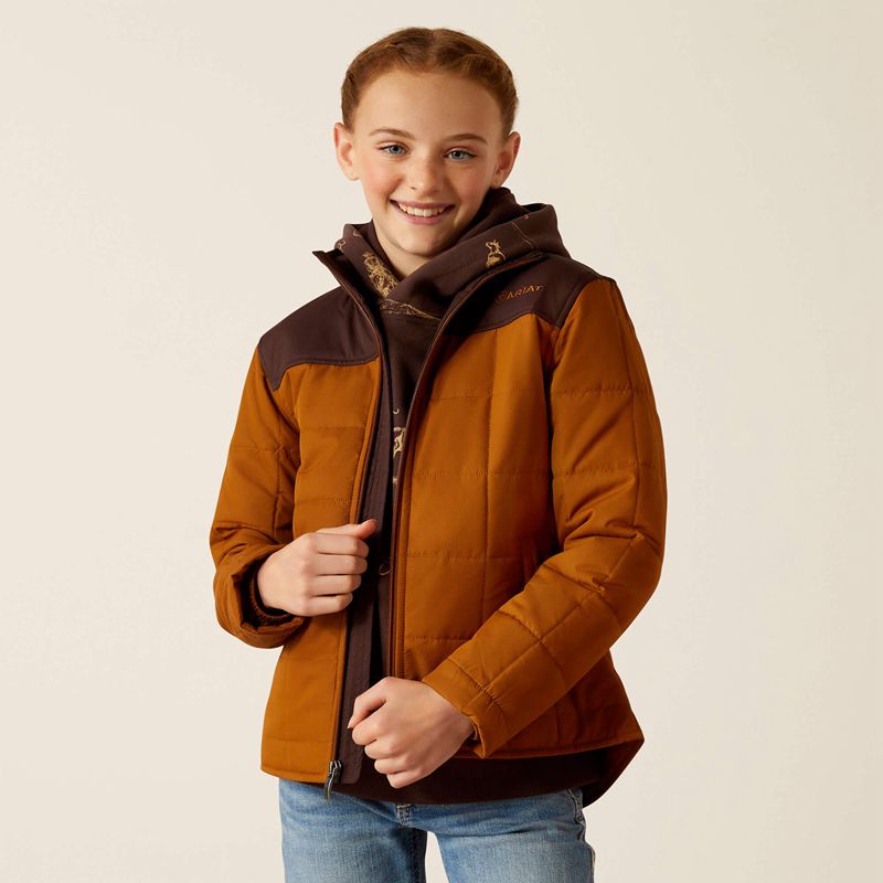 Chestnut Horse/Chocolate Plum Ariat Crius Jacket | 27RDUNJKX