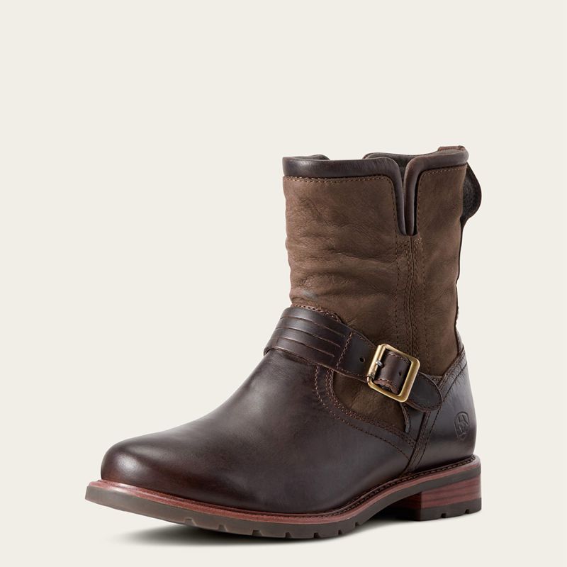 Chocolate/Willow Ariat Savannah Waterproof Boot | 93MXGKUWQ