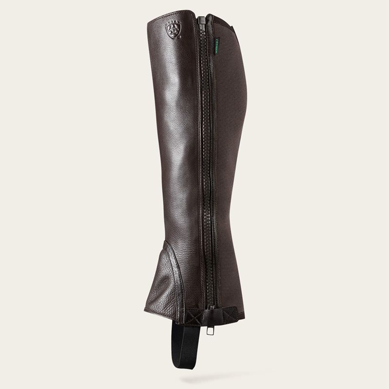 Chocolate Ariat Breeze Chap Half Chap | 98OIJQZCG