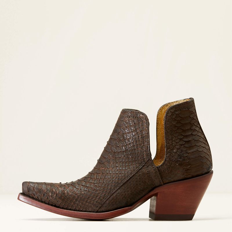 Chocolate Ariat Dixon Python Western Boot | 32NLRVBDQ