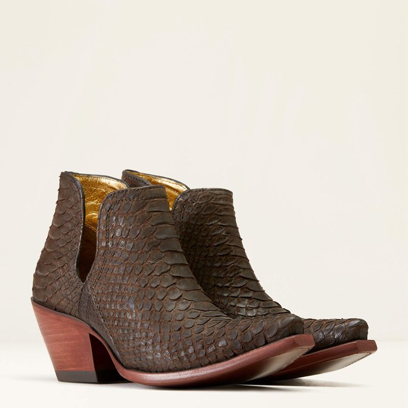 Chocolate Ariat Dixon Python Western Boot | 32NLRVBDQ