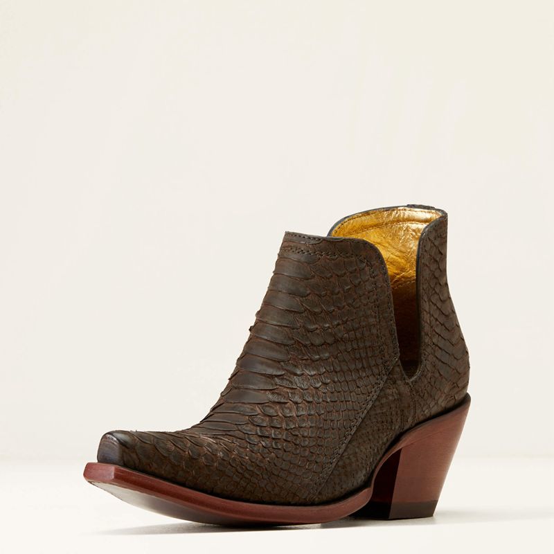 Chocolate Ariat Dixon Python Western Boot | 32NLRVBDQ