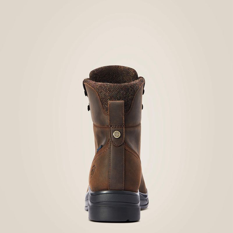 Chocolate Ariat Harper Waterproof Boot | 45CNGJVIA