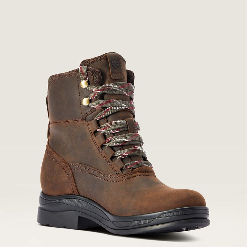 Chocolate Ariat Harper Waterproof Boot | 45CNGJVIA