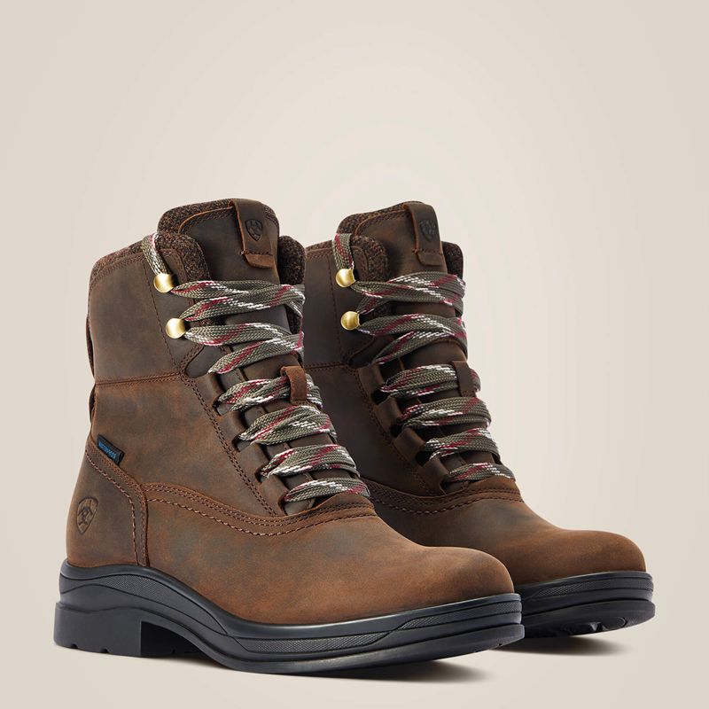 Chocolate Ariat Harper Waterproof Boot | 45CNGJVIA