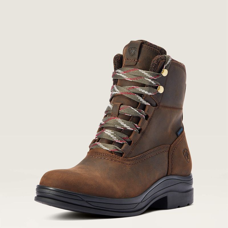 Chocolate Ariat Harper Waterproof Boot | 45CNGJVIA