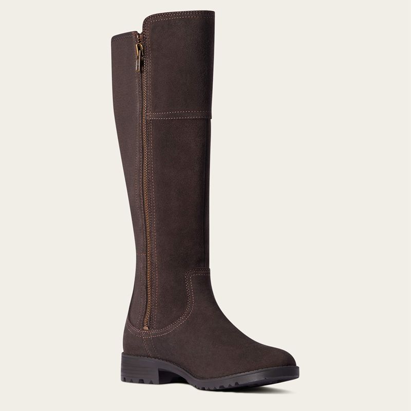 Chocolate Ariat Sutton Ii Waterproof Boot | 76JLVCIFH