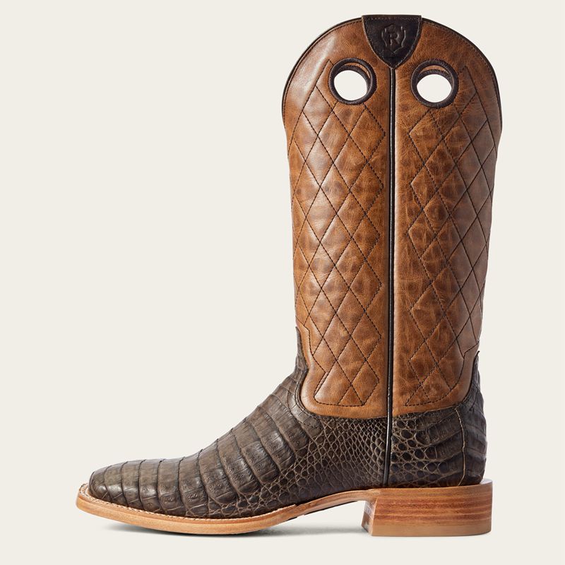 Chocolate Caiman Belly Ariat Relentless Winner's Circle Western Boot | 13KDBXWPJ