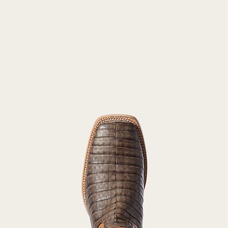 Chocolate Caiman Belly Ariat Relentless Winner's Circle Western Boot | 13KDBXWPJ