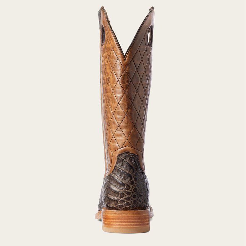 Chocolate Caiman Belly Ariat Relentless Winner's Circle Western Boot | 13KDBXWPJ