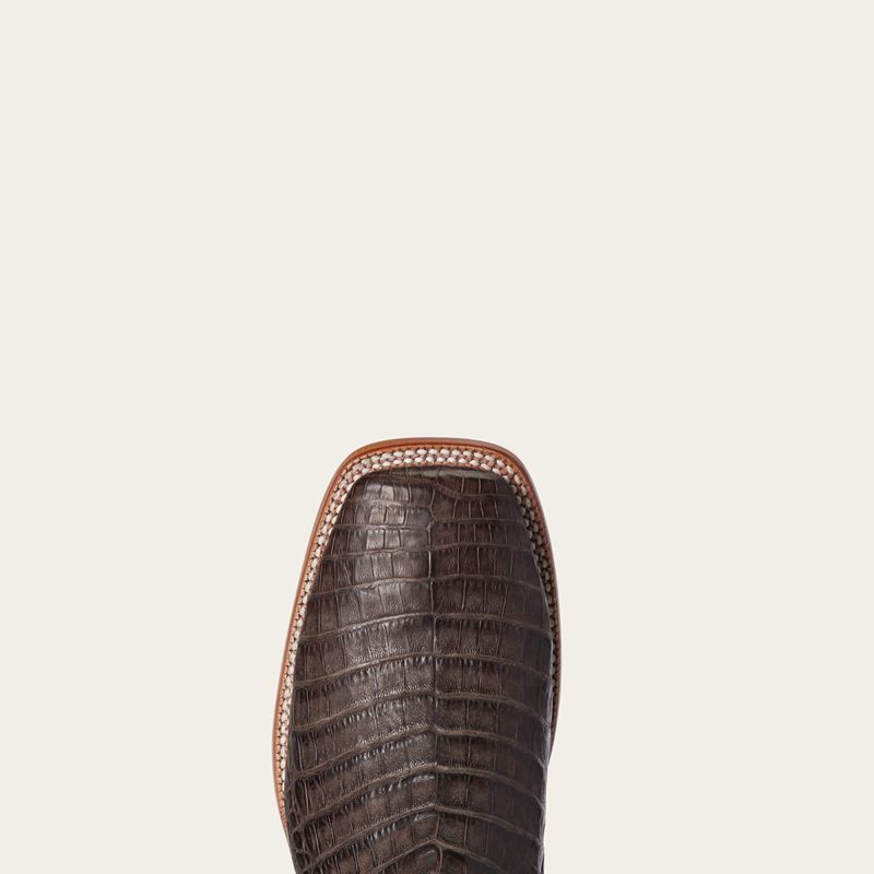 Chocolate Caiman Belly Ariat Relentless Denton Western Boot | 41BMFKTEG