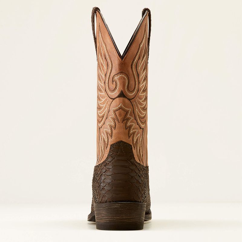 Chocolate Python Ariat Circuit High Stepper Python Cowboy Boot | 89WFKCBYA