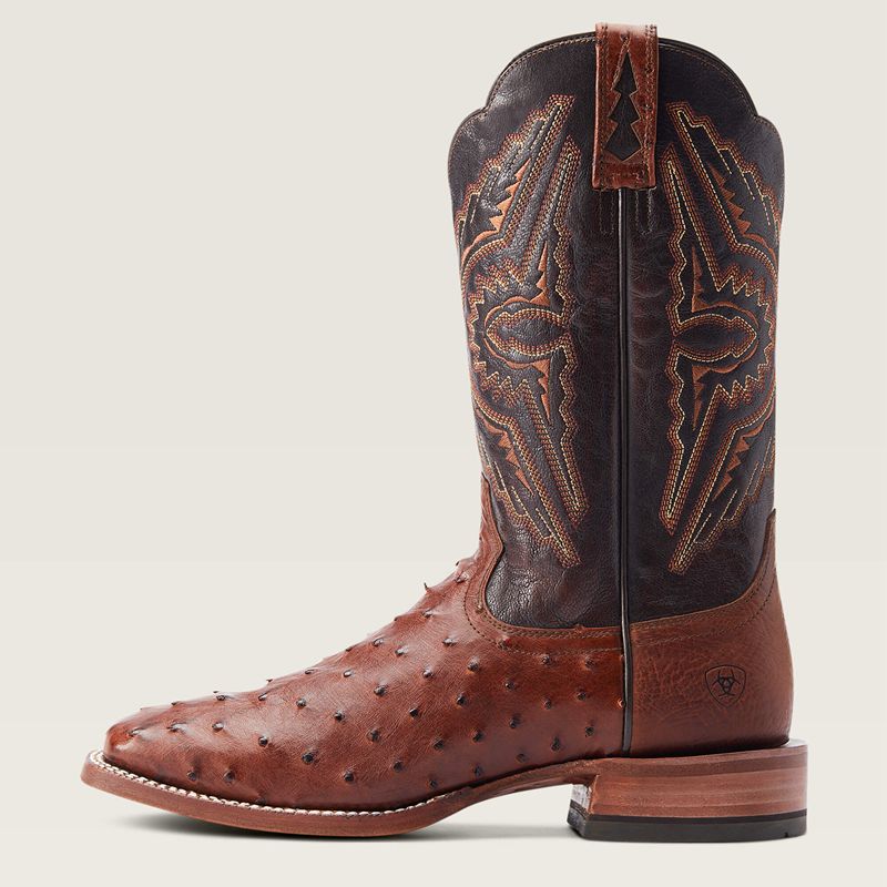 Cinnamon Full Quill Ostrich Ariat Broncy Western Boot | 46EXCLWDJ