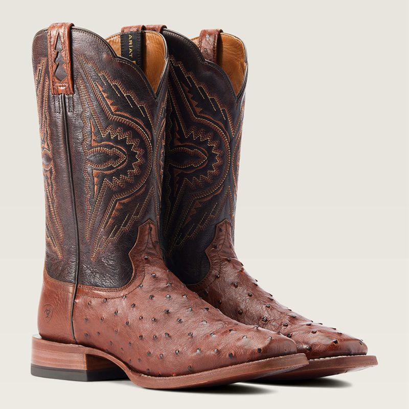 Cinnamon Full Quill Ostrich Ariat Broncy Western Boot | 46EXCLWDJ