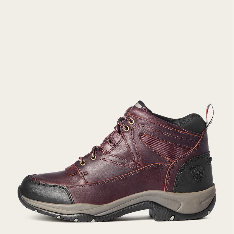 Cordovan Ariat Terrain Boot | 09FJHUVPZ