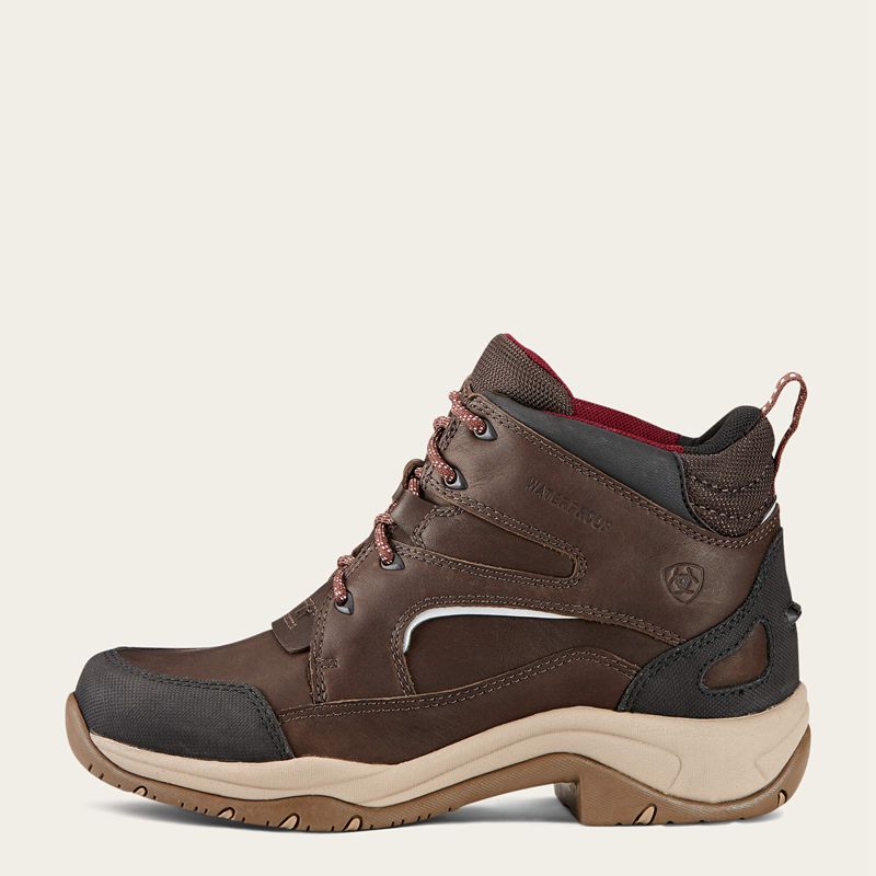 Dark_Brown Ariat Telluride Ii H2o | 80UGYCVRT