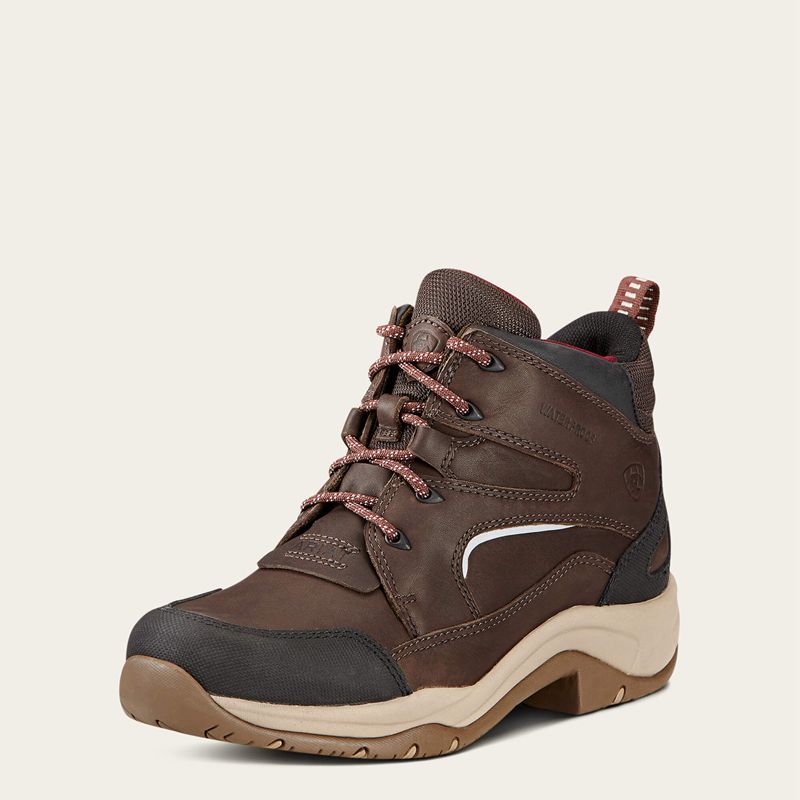 Dark_Brown Ariat Telluride Ii H2o | 80UGYCVRT